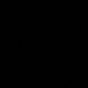 Meet your Posher, Breanna